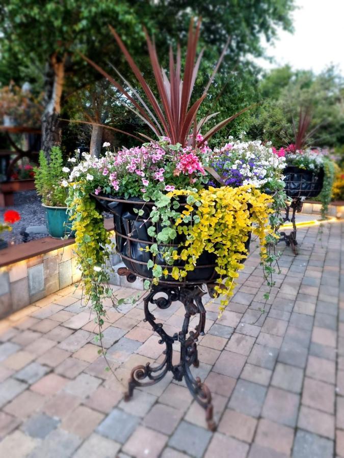 Woodmancote Varr House @ Meadow View מראה חיצוני תמונה